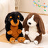 14" PEACH CAT Rottweiler Dog Stuffed Animal Cute Puppy Plushies Soft Plush Toys Gifts for Kids Black