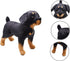 Realistic Rottweiler Stuffed Animal, 12 Inch Extremely Lifelike Plush Rottie Dog Toy for Kids