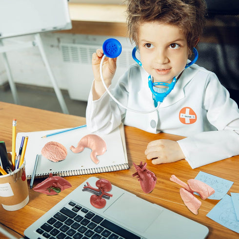 Mini Human Body Model for Kids, 8PCS Anatomy Toys, 3D Anatomy and Physiology Study Tools for Class Learning