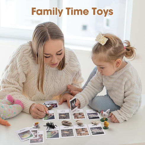 MEROCO Chicken Life Cycle Toys for Kids 3-5 - Animal Flashcards with Figurines, Preschool Learning Game