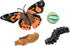 Insect Lore Butterfly Garden - 8" Habitat with 1 Cup Live Baby Caterpillars, Life Cycle Figurines & Stickers Gift Set