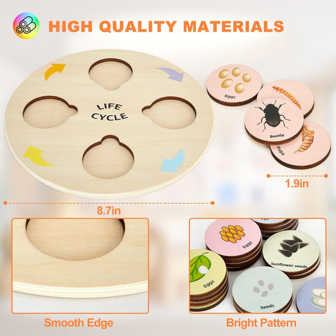 Life Cycle Toys for Kids Educational Science Kits, Montessori Toys for 3-6 Years