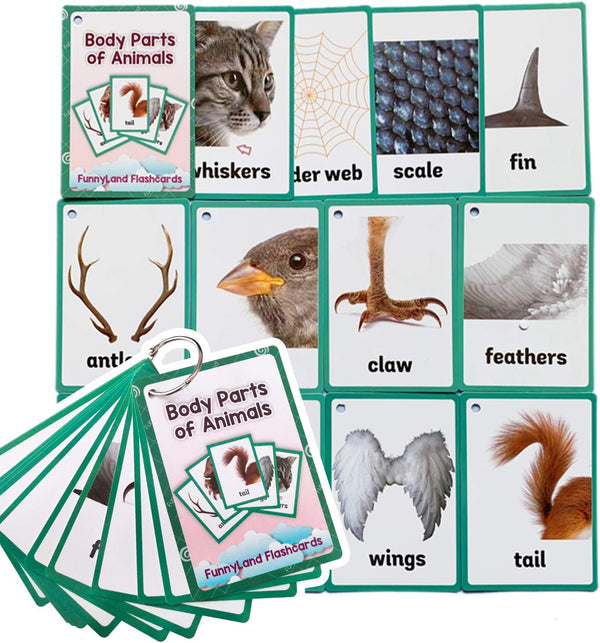 12PCS/Set Animals Body Parts Kids Gifts - English Flash Cards Pocket Card Educational Learning Toys