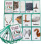 12PCS/Set Animals Body Parts Kids Gifts - English Flash Cards Pocket Card Educational Learning Toys