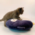 Cute Penguin Plush Cuddle Pillow, ARELUX 16inch Stuffed Animal Plush Toy, Festival Room Decor for Friends Family
