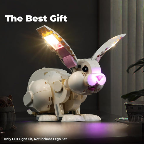 LED Light Kit for Lego-31133 White Rabbit, Compatible Lighting Set for Lego Building Blocks Model (Lights Only)