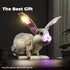 LED Light Kit for Lego-31133 White Rabbit, Compatible Lighting Set for Lego Building Blocks Model (Lights Only)
