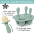 Silicone Petite Pops - Baby Popsicle Mold - BPA Free - Dishwasher Safe - 4 months+ (Sage Green Teether Pops)