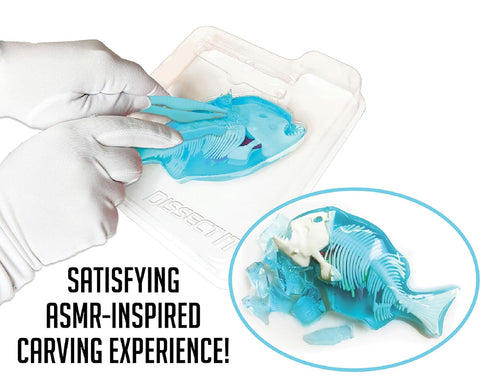 Dissect-It Simulated Lab Dissection Toy, STEM Projects for Kids Ages 6+, Animal Science Home Learning Kit