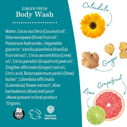 Earth Mama 34 oz Ginger Fresh Hand & Body Wash - Foaming Hand Soap Refill - fl - Made with Organic Herbs and Oils