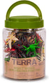 60pcs Playset 3+ Terra by Battat Insects & Bugs Toy Tube Mini Plastic Creepy Crawly Animal Figurines for Kids Realistic