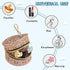 Sinestour Fall Squirrel Acorn Print Pacifier Holder Case for Diaper Bag Portable Travel Pacifier Storage Case with Clip