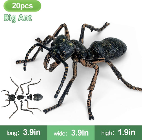 ECOHDT 7Pcs 3D Kids,1:1 5 6 7 8+ Set,Educational Lifelike Puzzles for Replica Insect Building Toys for Year Old Boys