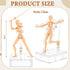 Set, Yookeer Body Drawing Action Figures Female and Male PVC Drawing Doll Human Model Manikin Art Mannequin Figures