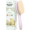 Wooden Baby Hair Brush for Toddler Girls, Boys - Cradle Cap Brush
