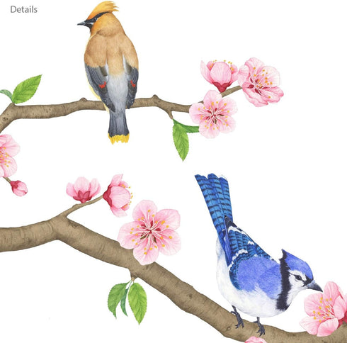 DECOWALL DWL-2009 Garden Birds and Cherry Blossom Wall Stickers, Peel and Stick Removable Decals for Kids Nursery &