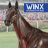 Breyer Horses Traditional Series Winx - Australian Racehorse Toy Model - 10.5" x 9.5"