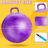 Lewtemi 3 Pcs 29 Inch Bouncing Ball with Handle - Outdoors Hopper Ball, Exercise Ball and Air Pump