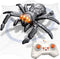 Infowush Wall Climbing Spider, Rechargeable Remote Control Spider Kids Toys, Floor/Wall Crawling