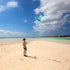 Mint's Colorful Life Dragon Kite for Kids & Adults, Best Beach Kites for Beginners, Easy to Fly, 300ft Kite String