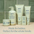 Pack 2, Pipette Vanilla + Ylang Ylang Wash and Lotion Duo, of Clean, Includes Baby Body Wash and Lotion for Newborns