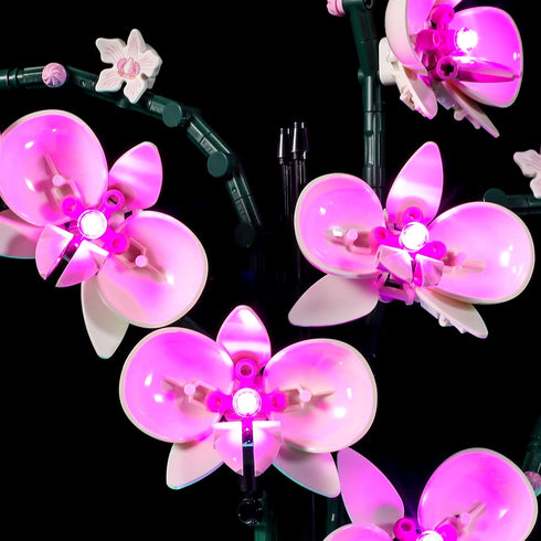 BRIKSMAX Led Lighting Kit for LEGO-10311 Orchid, Compatible with Lego Creator Expert Building Blocks Model, Set Not