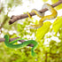 Flormoon Realistic Fake Snake Toy, 2pcs Rubber Elastic Lifelike Python Animal Figures for Halloween Prank Props