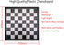 9.8" Magnetic Travel Chess Set, Portable Folding Chess Board for Adults and Kids, Black & White Color