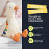 Cozy Itzy Ritzy Snuggles Plush Toy Soft Stuffed Animal for Babies, Kids & Adults Sensory Ribbons & Textured Fabrics