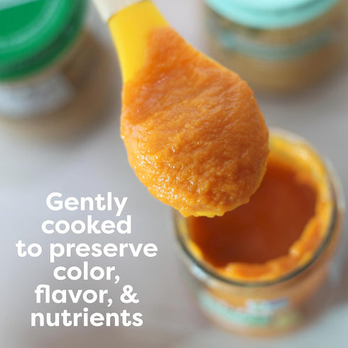Immune 4 4 oz (10 Pack) Beech-Nut Naturals Support Stage Baby Food, Banana Pumpkin & Orange, Jar