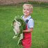 MorisMos Giant Frog Stuffed Animal Frog Plush, Large Stuffed Frog Plush, Big Stuffed Green Frog Pillow for Kids, 22 Inch