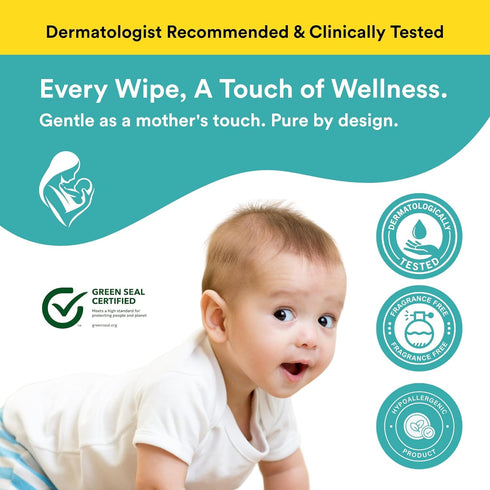 CutetotZ 99% 100% 6 Packs (480 Organic Baby Wipes- Pure Water, Green Seal Certified, Plastic-Free, Biodegradable