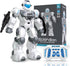 Robot Toys for Kids, Toys for 6 7 8 9 10 Year