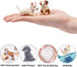 12PCS Realistic Dog Figurines, Hand Painted Tiny Puppy Animals Toy, Dog Cake Topper Gift for Kids & Toddlers