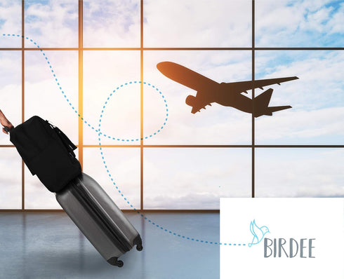 Birdee Durable Backless Booster Seat Travel Bag for Airplane Gate Check and Carrier for Travel - Fits GB Pockit