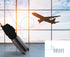 Birdee Durable Backless Booster Seat Travel Bag for Airplane Gate Check and Carrier for Travel - Fits GB Pockit