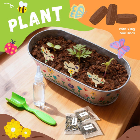 Set 5, 6, 7, 8-12 PLANTMEW Paint & Plant Flower Growing Kit for Kids - Fun Kids Gardening - Unique Birthday, Crafts
