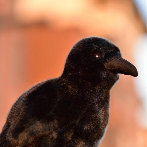 Realistic Crow Plush Toy, Cute Black Raven Stuffed Animal Doll, Soft Raven Bird Plush, Kids Birthday Gift Decor