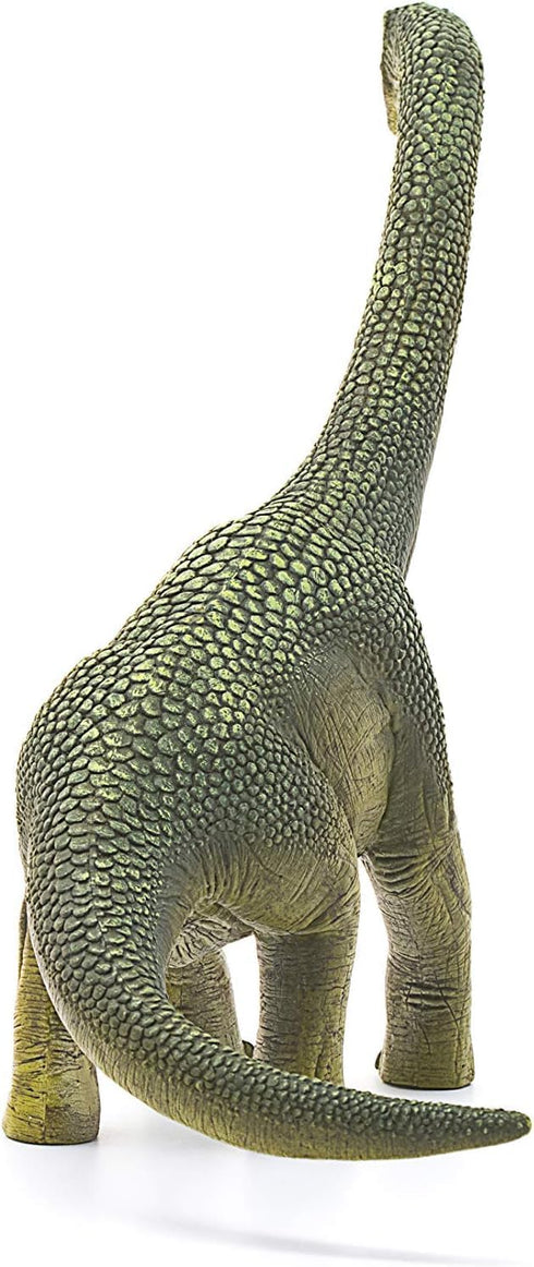 9.5" 4+ 14581 Schleich Dinosaurs - Brachiosaurus - Realistic, Durable Green Dinosaur Toy - Educational Fun Long Neck