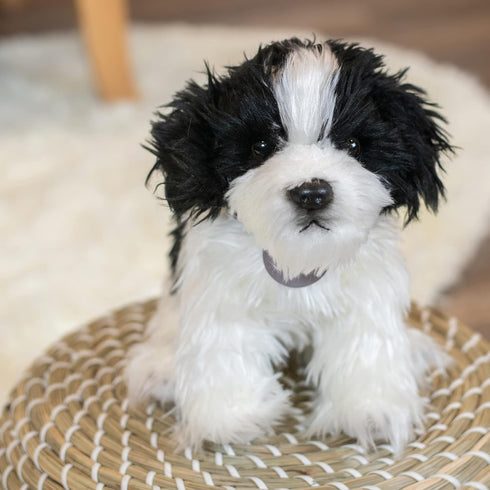 DEMDACO Sitting Small Havanese Dog Plush Stuffed Animal - Black and White