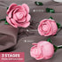 XGSHJ Set 12 Pack Pink Rose Bouquet Building for Girls & Boys - Botanical Collection Gift for Easter Basket Artificial