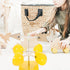 Durable Weather Vane, Wind Indicator Tools for Classroom and School