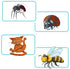 Concept Kids Animals Party Game - Cooperative Guessing Game for Kids and Adults, Ages 4 and Up, 2-12 Players