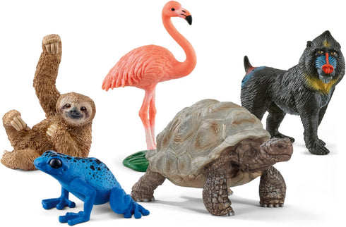 Schleich Wild Life - 5PC Exotic Animal Starter Playset Figurine Bundle -