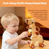 6-12 6-12-18 Wooden Montessori Toys for Months,Montessori Baby Blocks Toy for Months,Shape