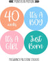 Pregnancy Weekly Belly Growth Stickers - 36 pcs Purple Pink, Matte Finish for Maternity Photo Sessions