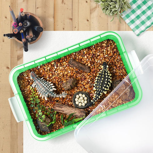 15 Inch Portable Sensory Bin Play Tray with Lid, Fill with Water, Sand, Beads and More (Green) for Kids Playtime