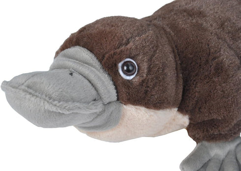 12 inches Wild Republic Platypus Plush, Stuffed Animal, Plush Toy, Gifts for Kids, Cuddlekins