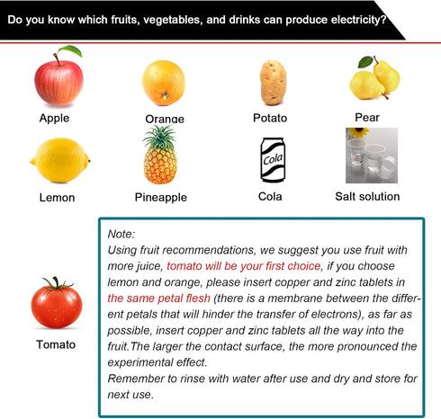 EUDAX Fruit Battery Science Experiment Kit - DIY Home Teaching Toy for School Science Project