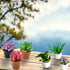 Cayway Dollhouse Plant Miniature 16 PCS Artificial Plant Tiny Bonsai Model for Doll House Garden Decorations